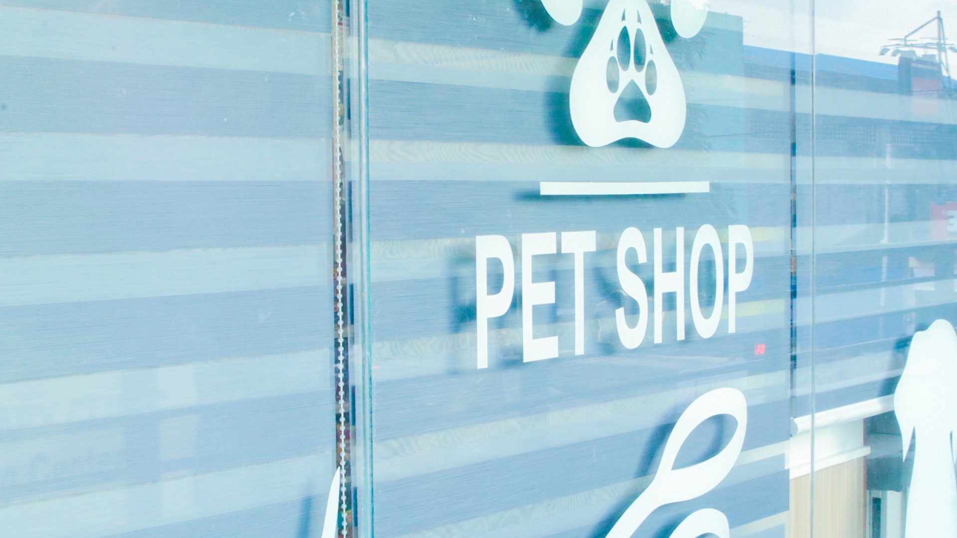 Pet Shop Window Signage