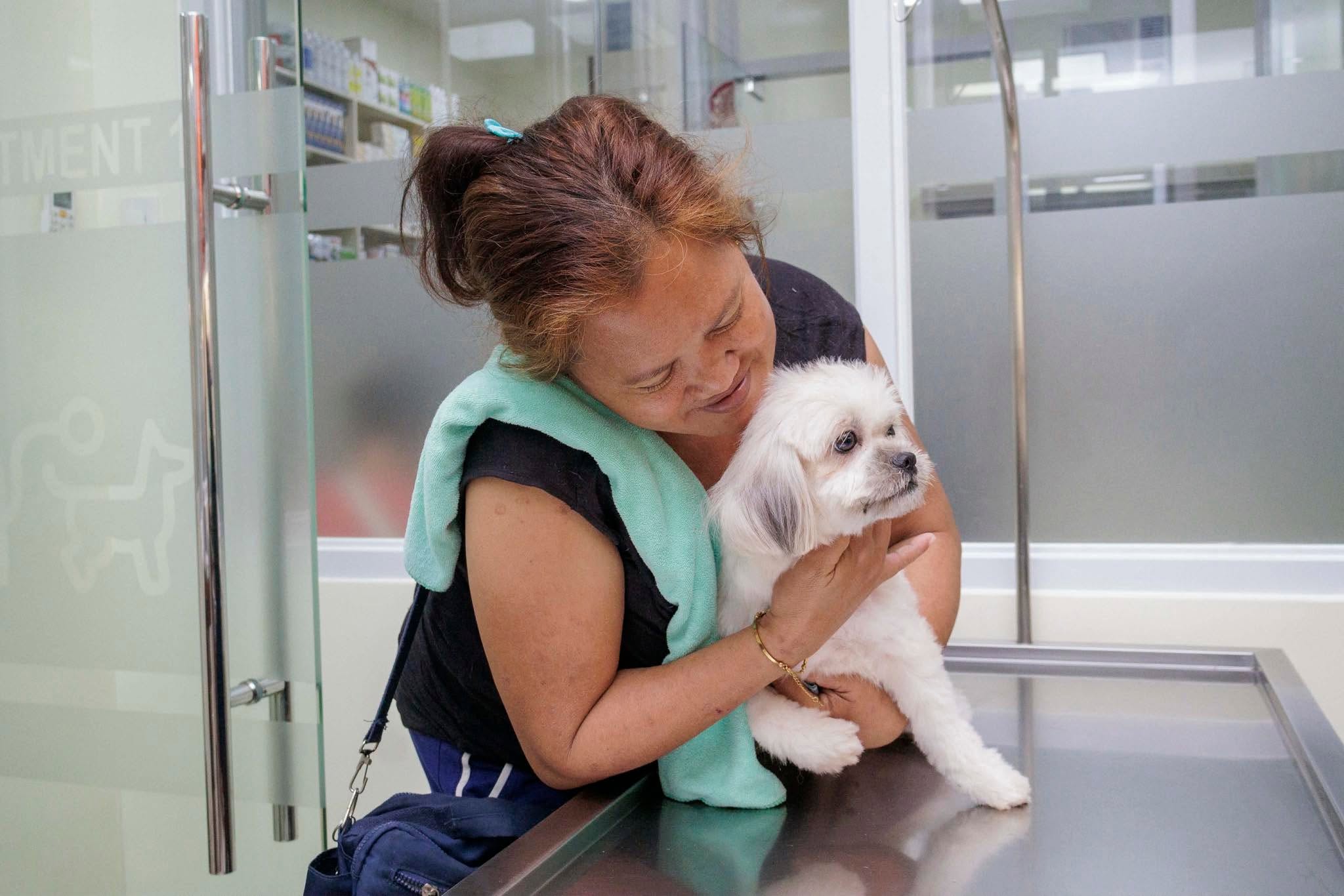 Cute dog getting care at Gabieta Vet Clinic