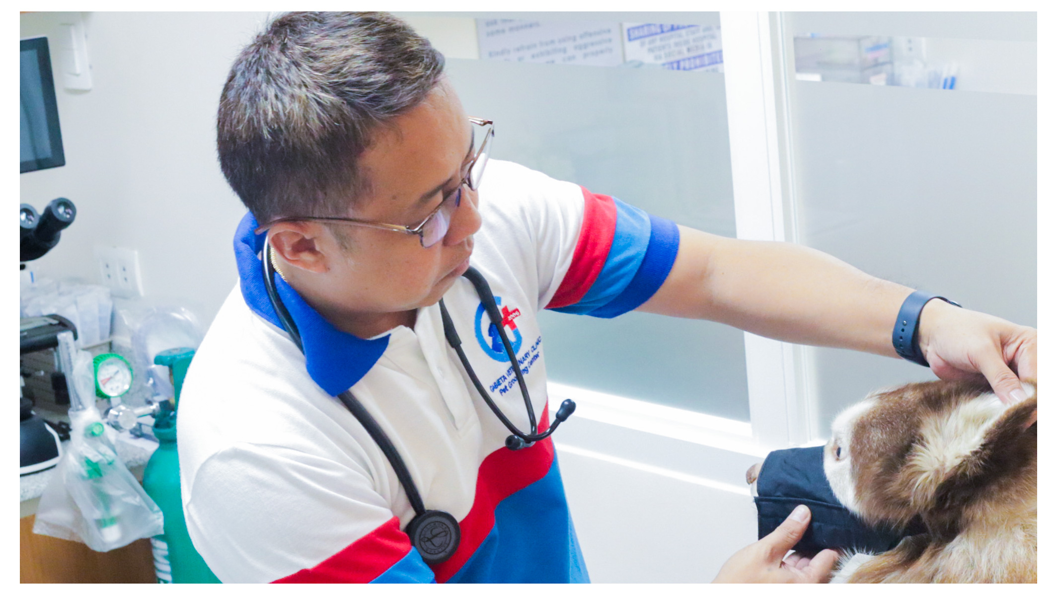 Gabieta veterinarian examining a dog during a checkup